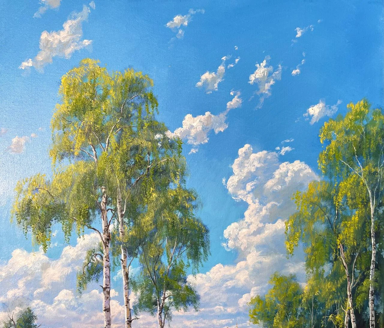 Березки. Русский простор — 5