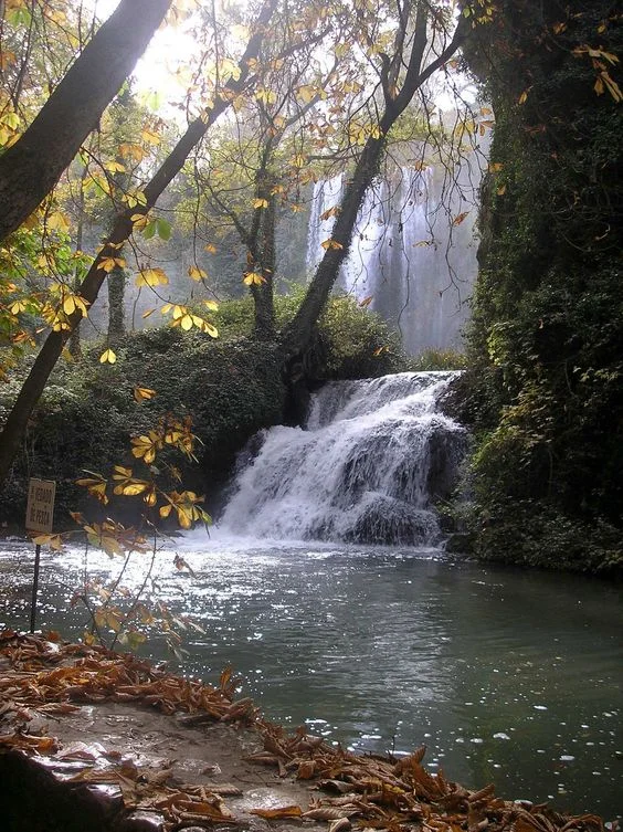 Waterfall in a Sunlit Forest