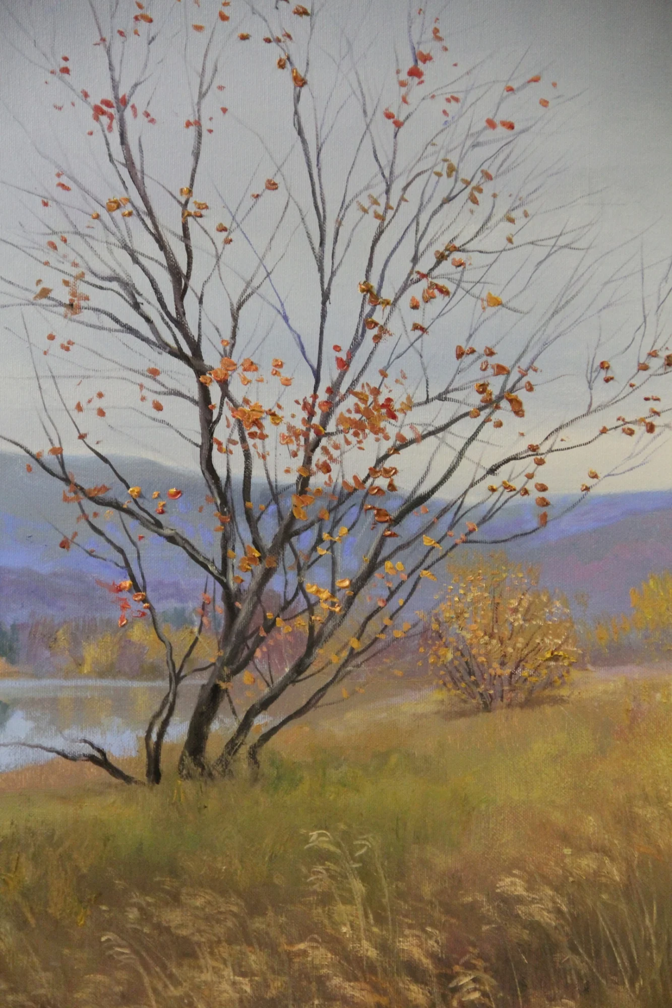 Beautiful Autumn — 5