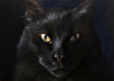 Кот