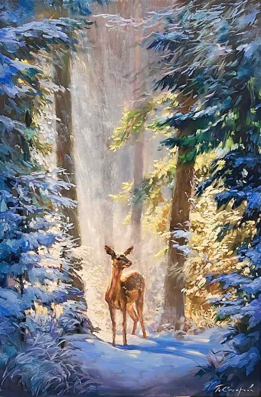 В сказочном лесу
